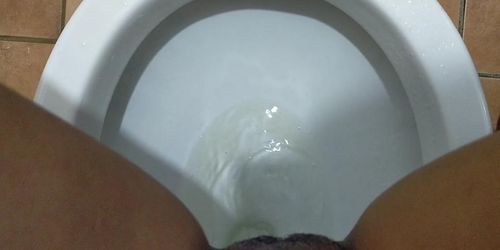 My Hairy Pussy Making A Mess In Public Toilet