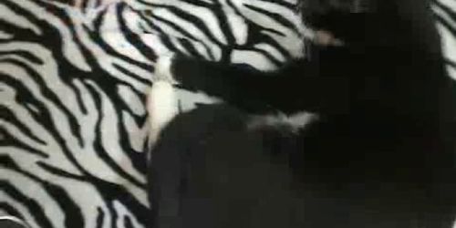 Adorable Pink Cutie Fucked on Cam