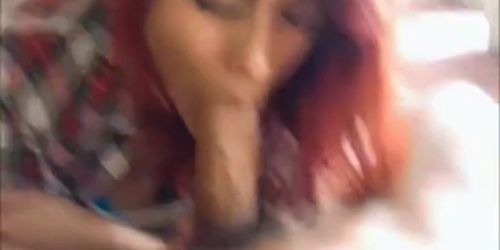 Amateur brazilian babe blowjob pov - video 4