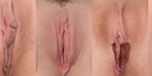 Different type of Virgina 