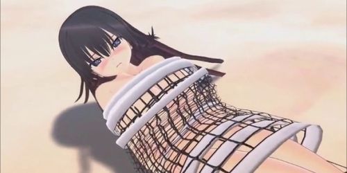 Adult Anime Compilation