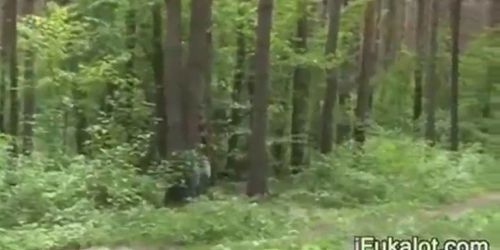 public sucking dick in the forest