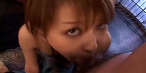 Asian bitch Sakurako is titty fucking a dick