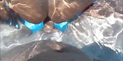 Fucking a hot chick in the pool