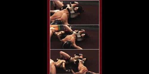 3D wrestling slide show