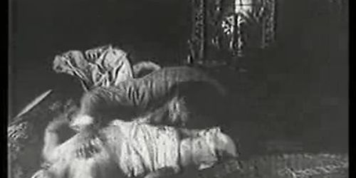 祖父母のピカラス物語（1910年）xLx