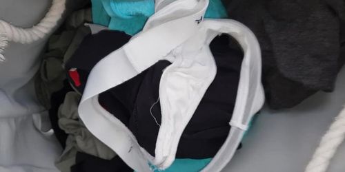 White dirty panties from laundry smell like bitter sweet