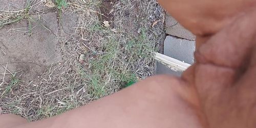 Pissing in my neighbors yard