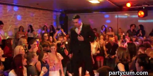 Flirty sweeties get absolutely mad and undressed at hardcore party