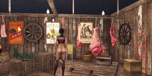 Fallout 4 Slutty and Tease Fashion