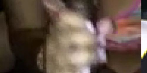 Hoe sucking my dick