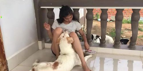 Asian Girl Has Fun With Her Dogs - Tnaflix.com