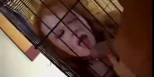 Audrey Hollander Caged Cum Slut