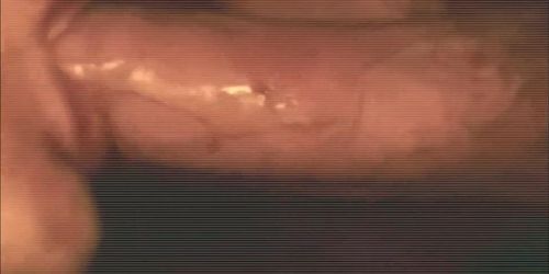 Cock Sucker Pmv