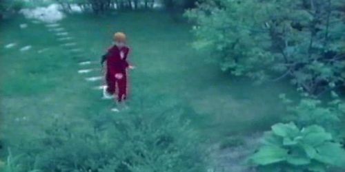 MF 1733 - Teenagers Fantasy