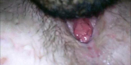 Giving oral to a hairy teen muff