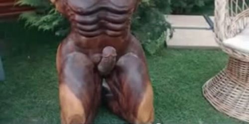 Young small-tits wants fuck statue