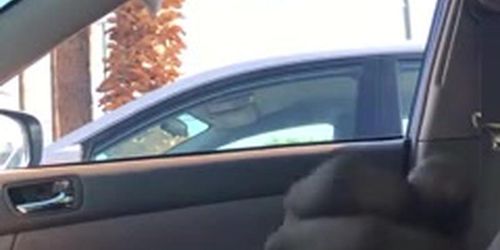 Car Flash 1