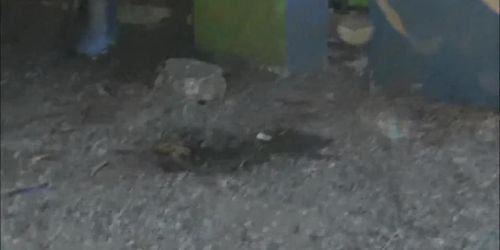 Busty latina babes public nudity and outdoor peeing of exhibitionist - Pur - Tnaflix.com