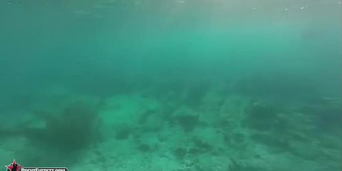 Brent Everett - A caribbean underwater adventure ct