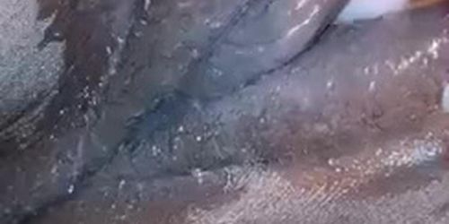 Ebony creamed on herself cumming 