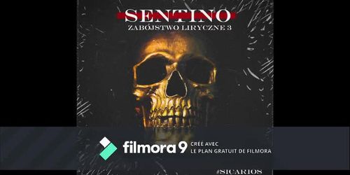 Dla braci co plyty nie dostali (ZL0 + ZL3) - Sentino