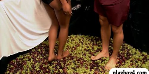 Singles go in a huge tub full of grapes with nasty guys