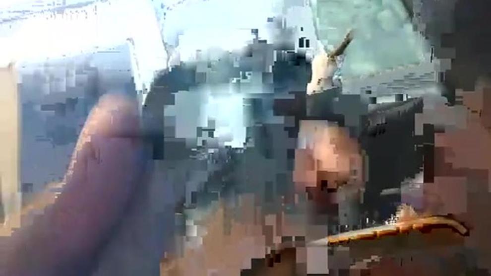 BBC Bus Dickflash(i tried) Porn Videos