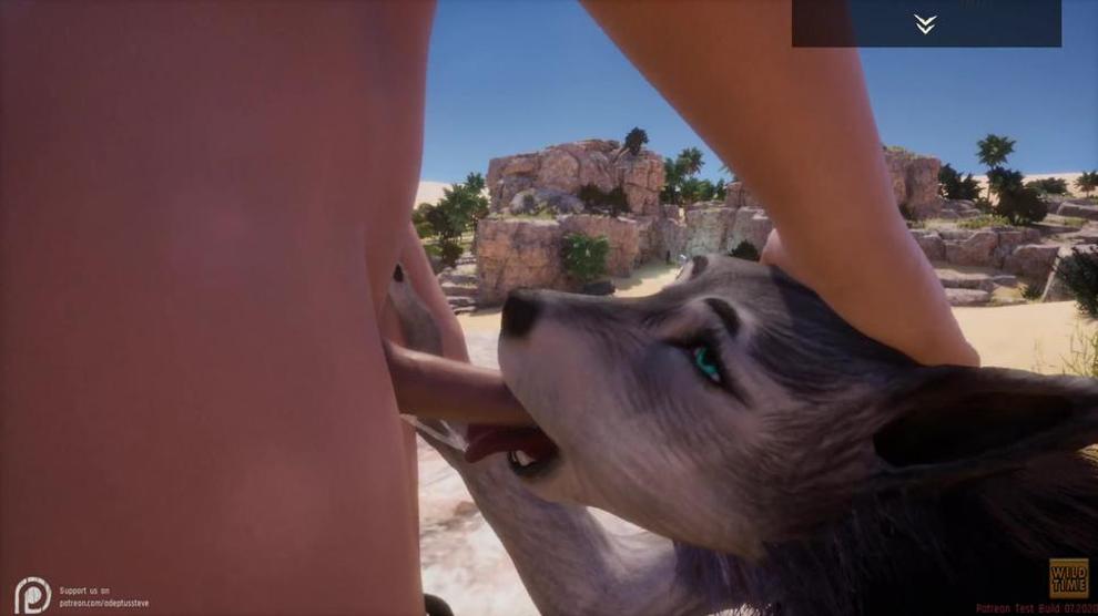 Wild Life Furry Wolf Girl Rasha Porn Hd Porn Videos