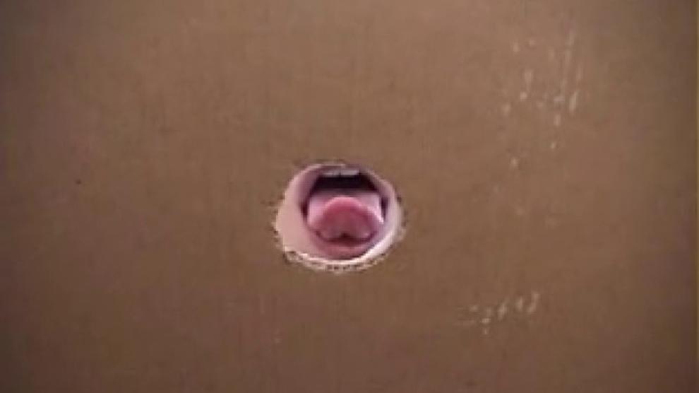 Trixie Swallows At A Gloryhole Trixie Swallows Porn Videos