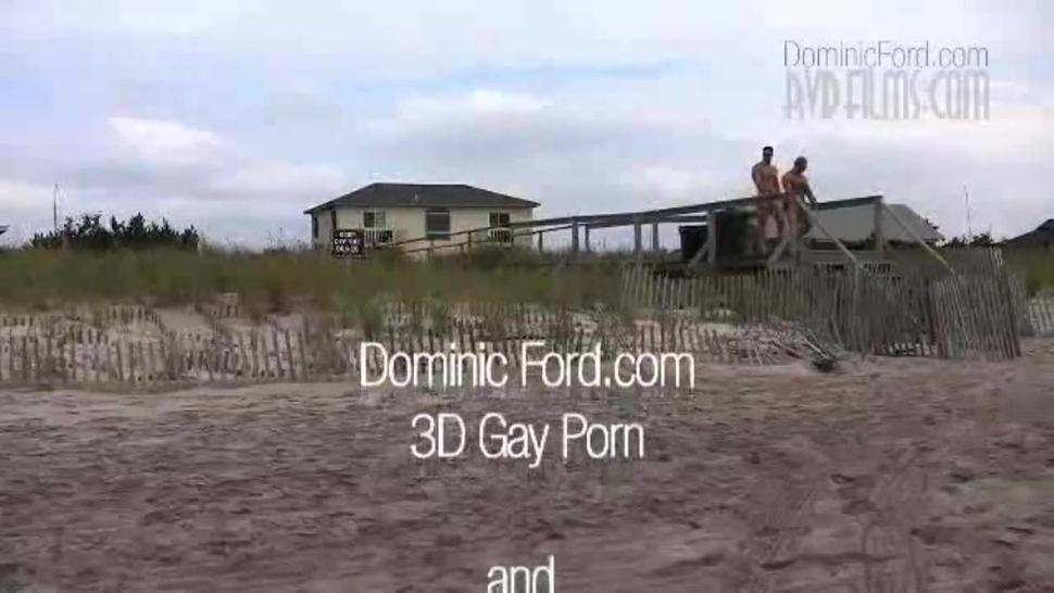 Robert van Damme/Dominic Ford - Fire Island Beef taste 3D