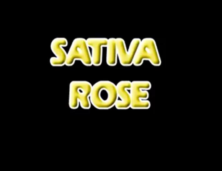 Sativa Rose Gets Some Meat In Her Ass