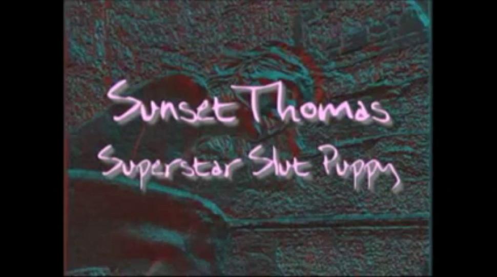 Sunset Thomas - Superstars of Porn sunset Thomas Scene 1