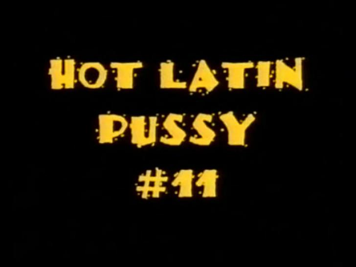 Hot Latin Pussy Adventures 11