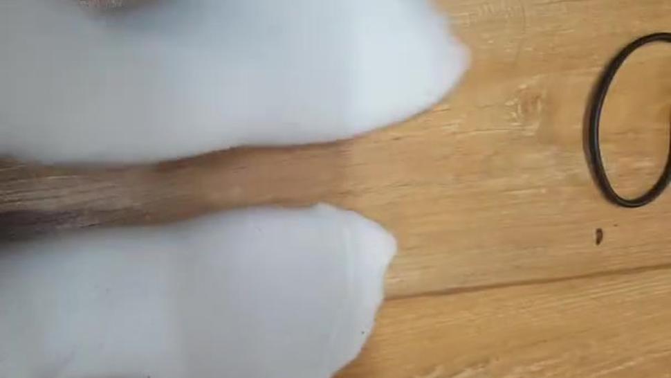 Korean socks POV