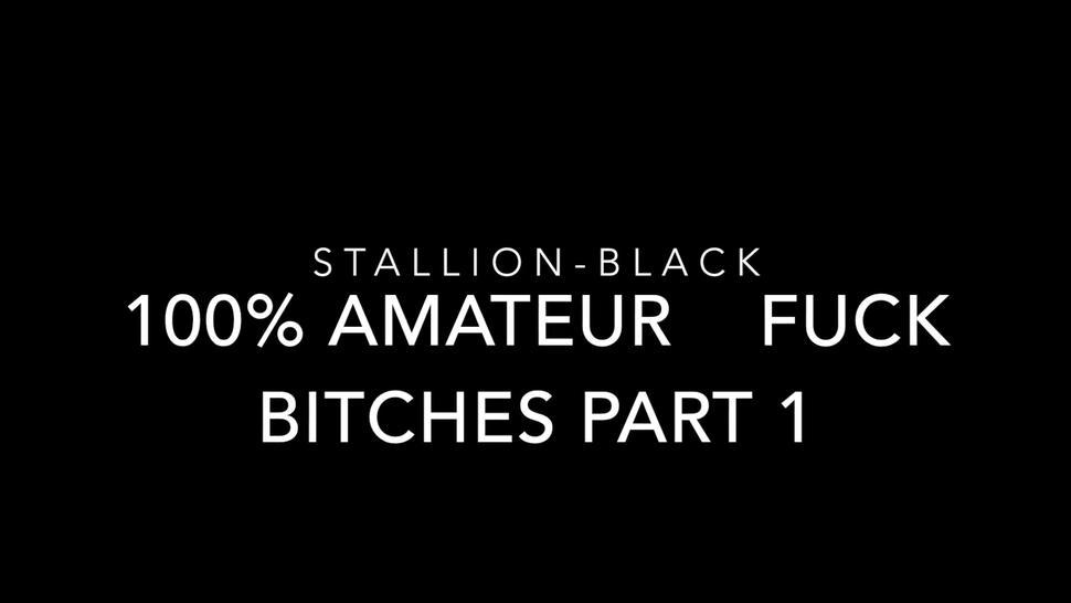 French black stallion for good bitches