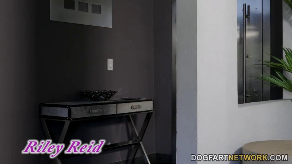 Make Up Anal Sex Riley Reid