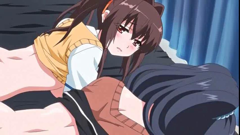 Two boobed anime chicks getting rammed