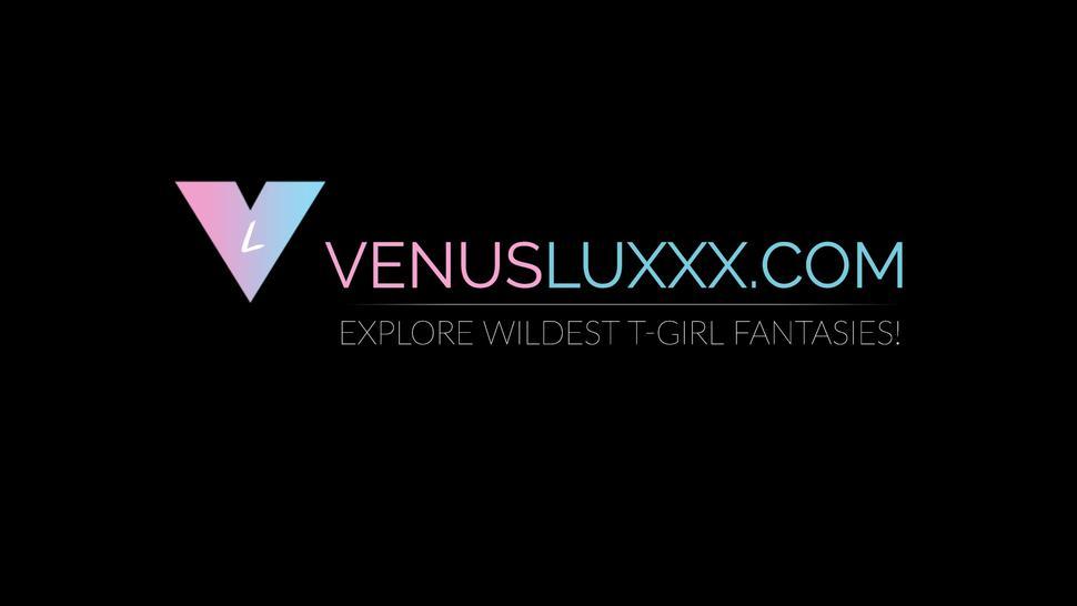 VENUS LUXXX - Shemale goddess Venus Lux strokes wood hard cock and cums