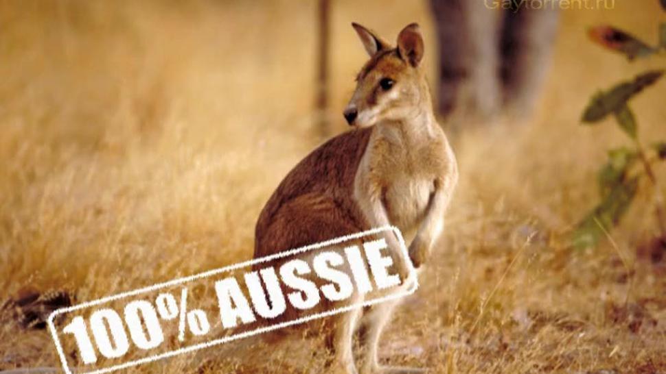 100 Percent Aussie part 4