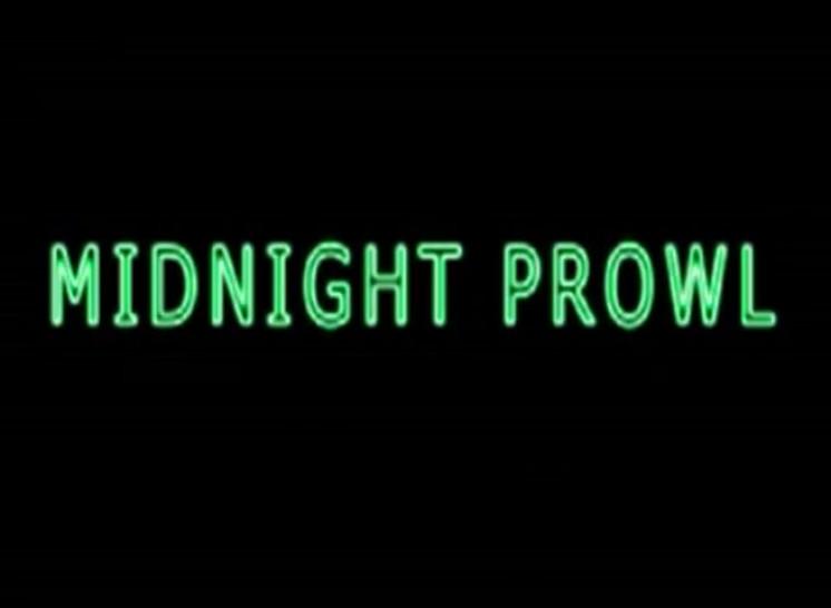 Midnight Prowl