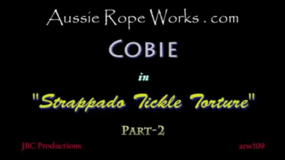 1cobie tickled