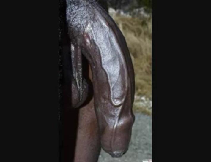 Too big black cock for dirty bitch