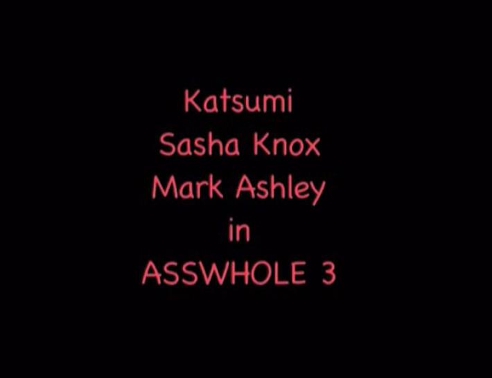 Katsumi And Sasha Knox Take It Up The Ass