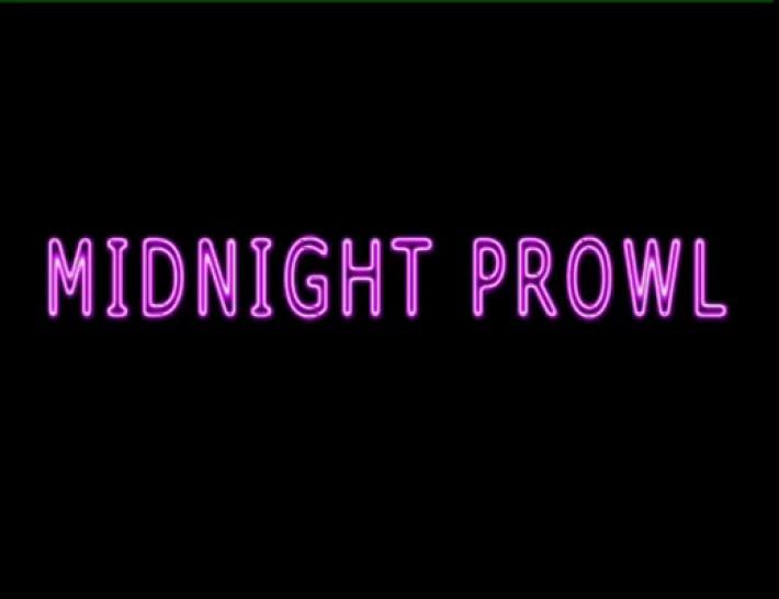 Jaylynn Sinns Midnight Prowl
