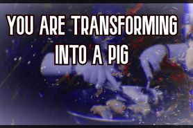 You are Transforming into a pig