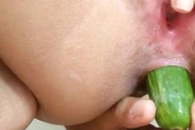Egyptian Cucumber Anal