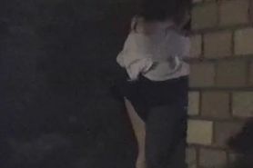 Two Japanese Couples Night Park Sex