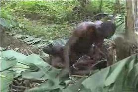 real african amateur fuck on the tree part 2