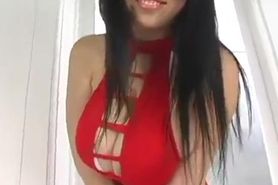 Mixed Asian Tits